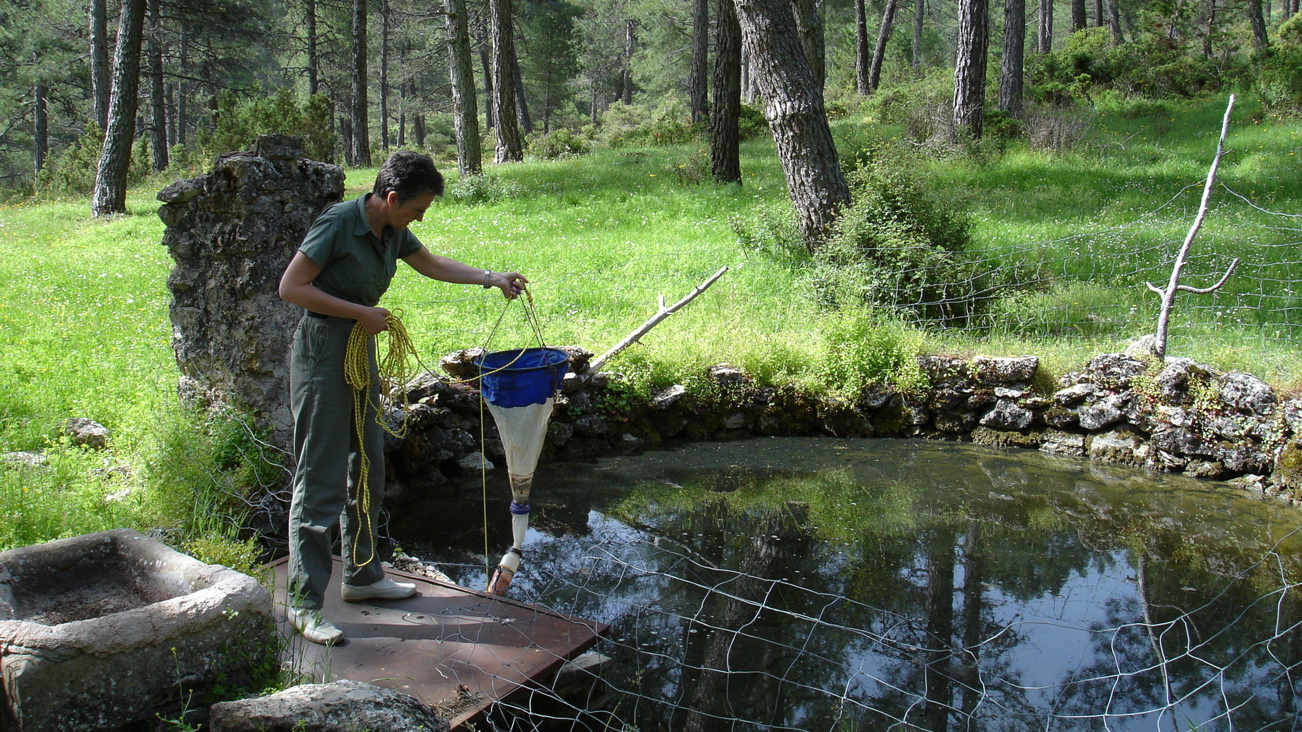 Muestreando mediante el filtro freatobiológico de Cvetkov 