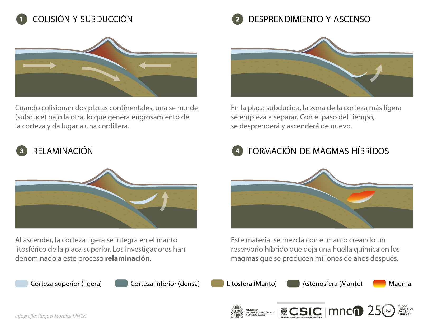 Infografía relamniación