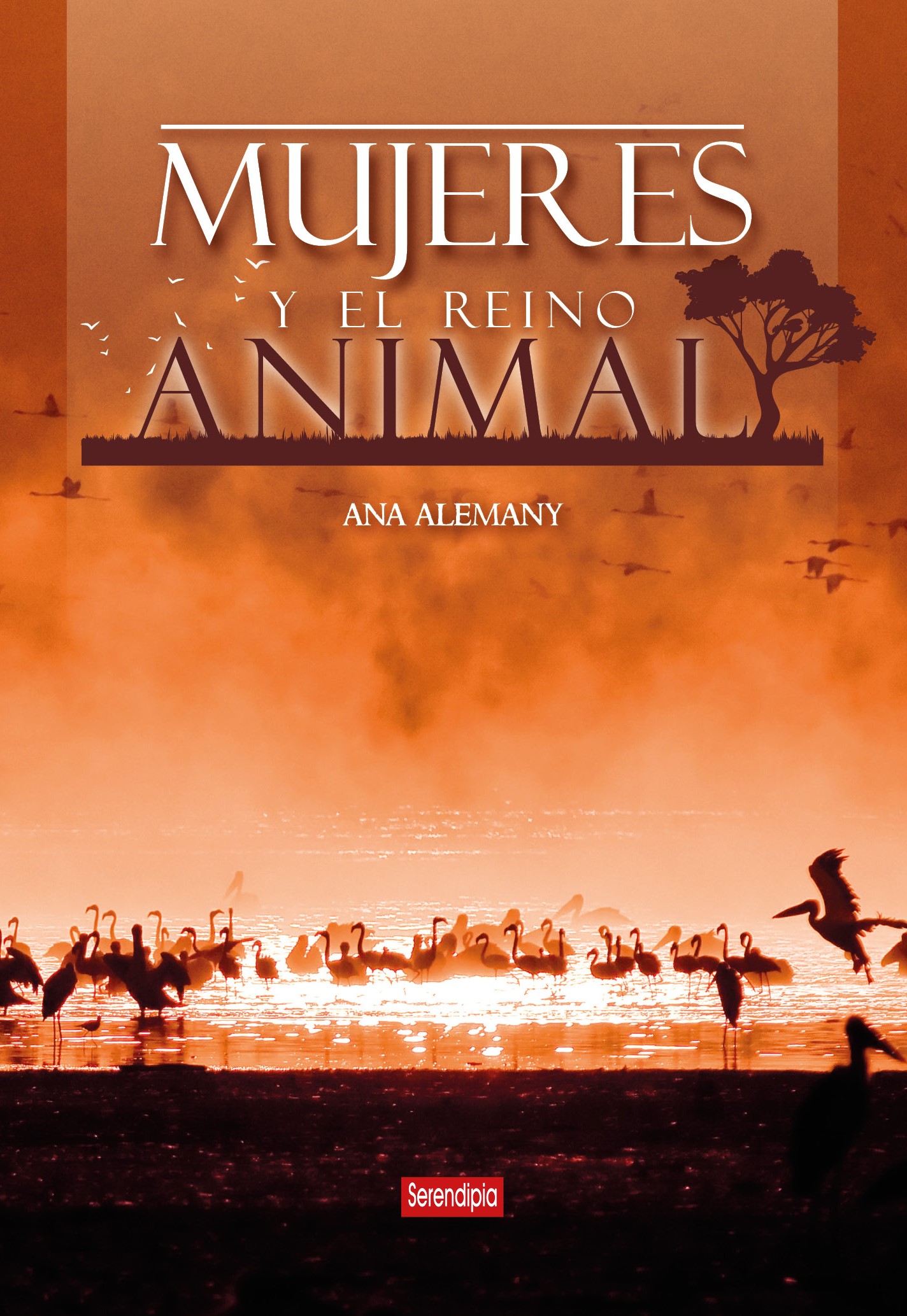 portada libro mujeres