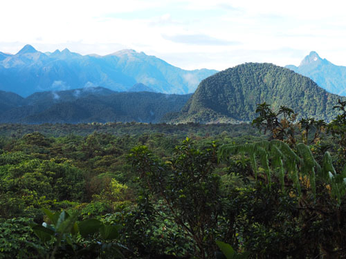 Vista panorámica del bosque nublado de los Andes colombianos / Claudia Lansac