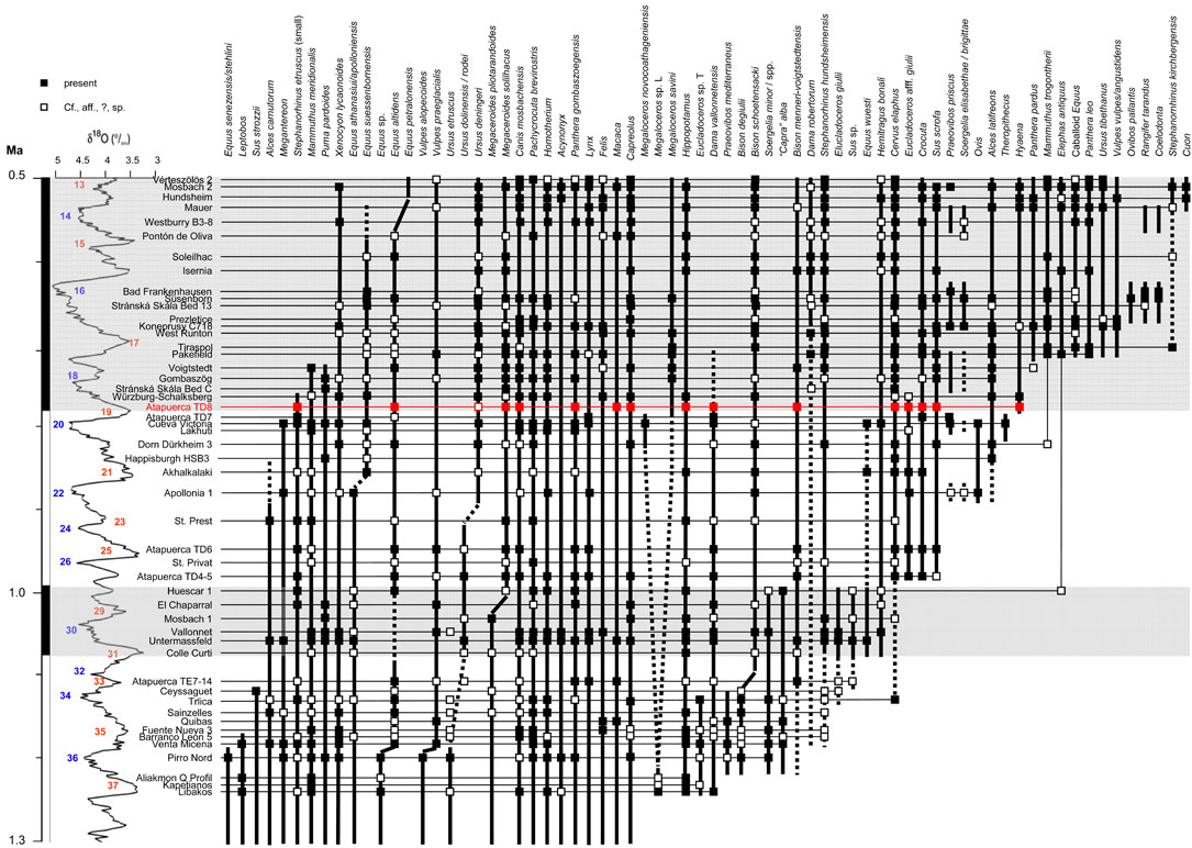 TD8 stratigraphy