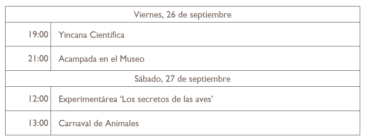 Programa de actividades