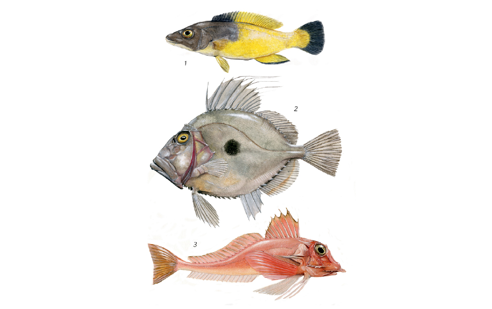 Tres peces