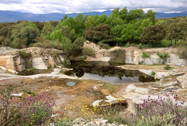   Una de las charcas estudiadas, al pie de la Sierra de Guadarrama. / Íñigo Martínez-Solano