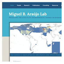 Blog de Miguel B. Araujo 