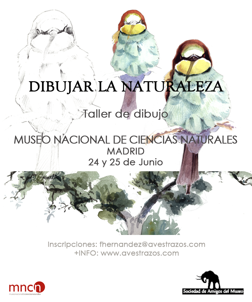 cartel