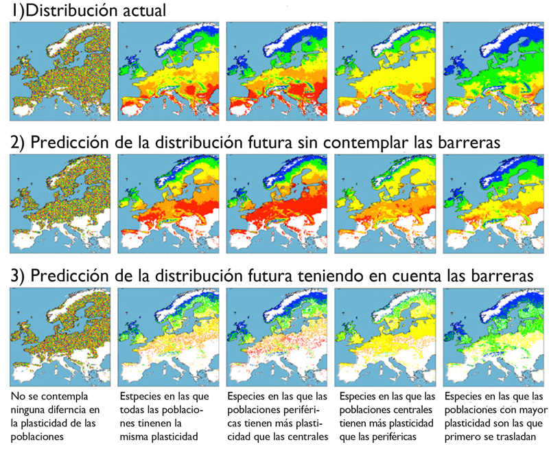 gráfico distribución especies