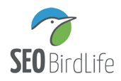 logo seo