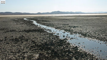 Imagen de un arroyo de agua dulce en la Laguna de Gallocanta (Aragón) en septiembre de 2019. El arroyo transcurre por el fondo seco de la laguna, una situación frecuente en años recientes y que impide que las grullas duerman protegidas. / Carmen Tornos.