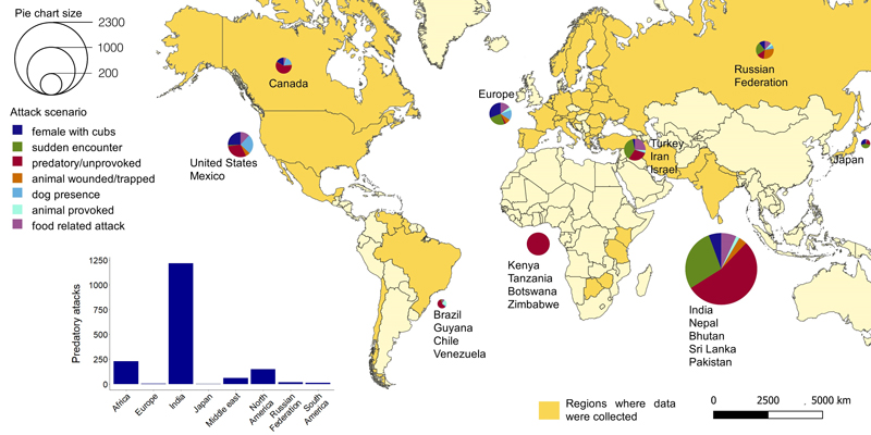 Descripción de los motivos de los ataques en los países en los que se han recabado datos.