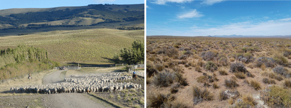 Izquierda) Tareas de arriado de ovejas en una estancia patagónica (Argentina). / Sergio Velasco Ayuso.Derecha) Estepa patagónica (Argentina)./ de Juan José Gaitán. 