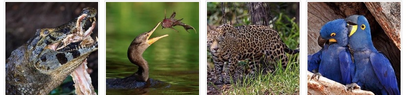 fotos de José María Fernández 