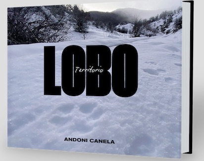 portada libro