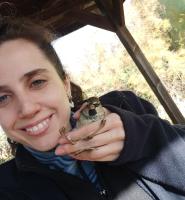 Foto de perfil del investigador Barreda Muñoz Isabel