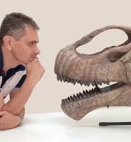 Foto de perfil del investigador Knoll Fabien