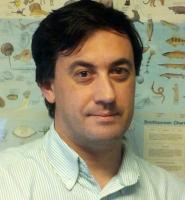 Foto de perfil del investigador Zardoya San Sebastian Rafael