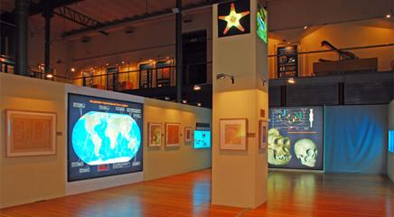 vista de la exposición