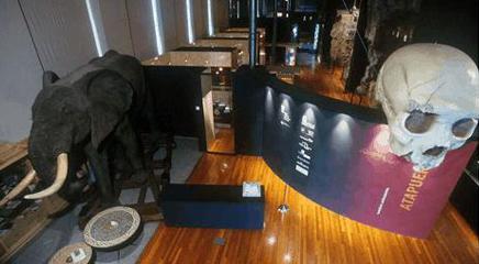 vista de la exposición