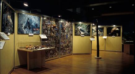 vista de la exposición