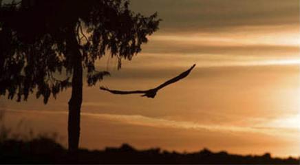 vista de la exposición