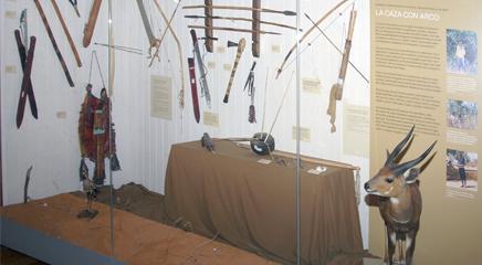 Vista de la exposición