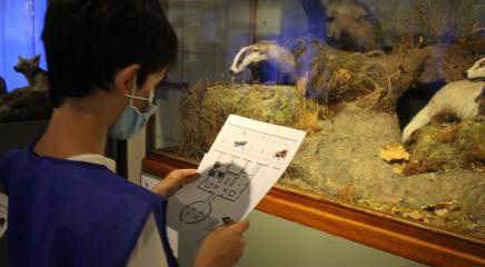 Imagen de un niño realizando la actividad delante de la vitrina de los tejones