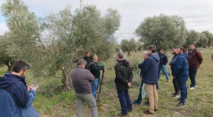 Asistentes al curso frente a un olivo