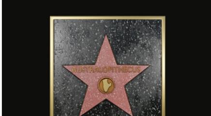 estrellas