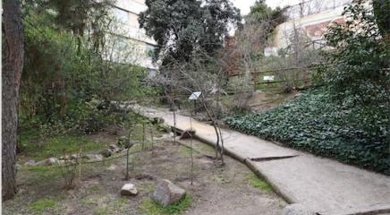 camino jardin