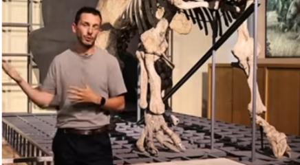 Video Juan Cantalapiedra explica la evolución de los perezosos 