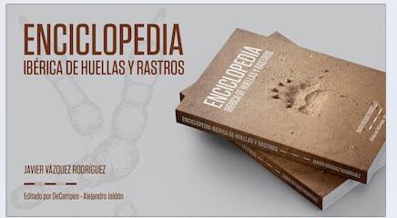 enciclopedia web
