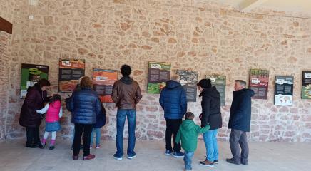 Exposición El suelo, un paseo por la vida 
