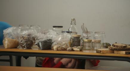 Taller sobre suelos y bosques en los institutos 