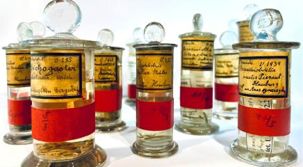 Leibniz Institute for the Analysis of Biodiversity Change