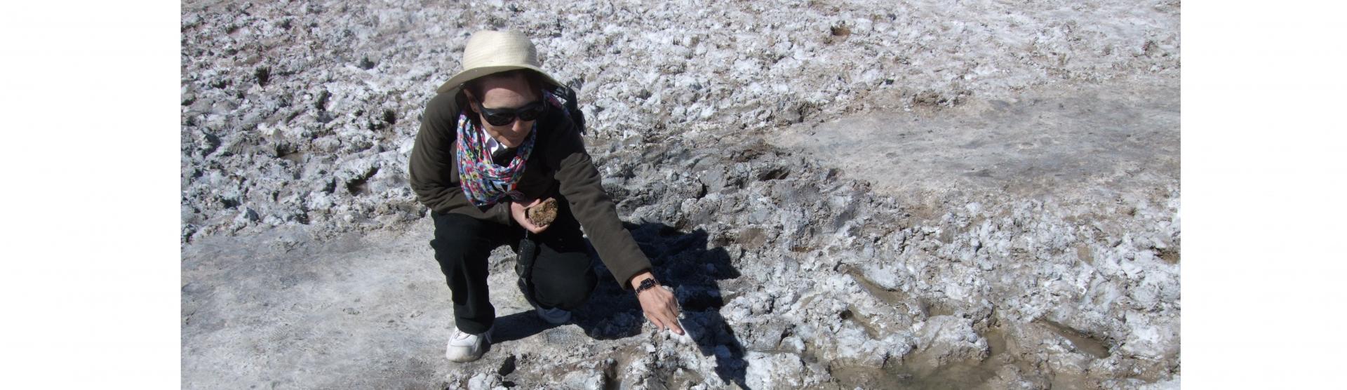 Depositos de halitas (NaCl) colonizadas; desierto de Atacama