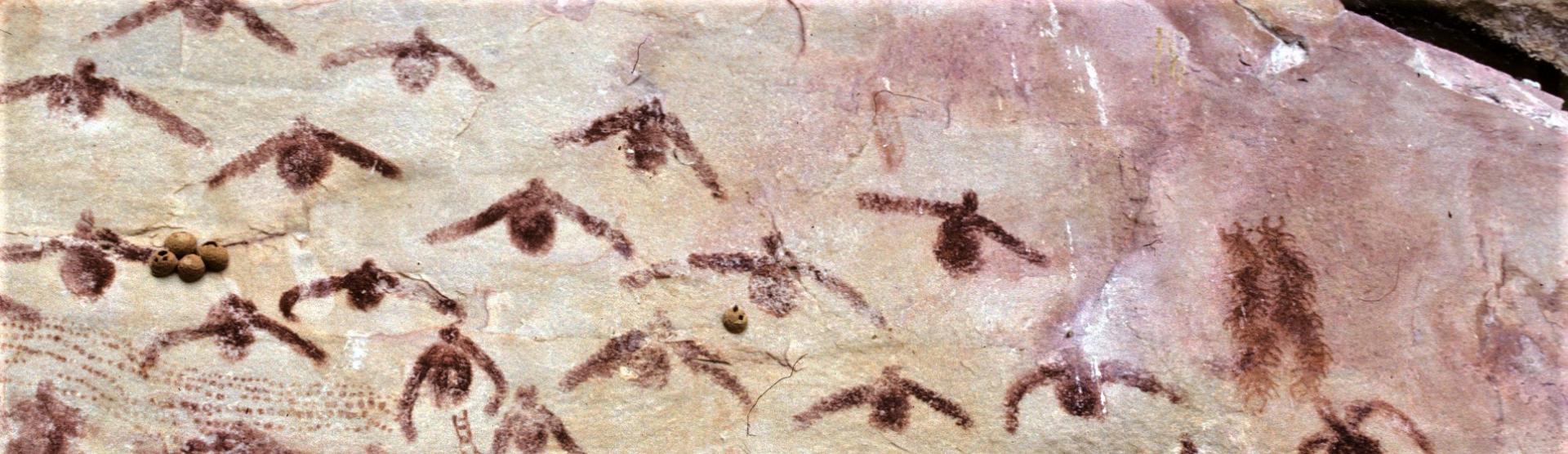 pinturas rupestres Amazonia