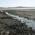 Imagen de un arroyo de agua dulce en la Laguna de Gallocanta. / Carmen Tornos.