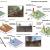 Efectos del fuego y de las prácticas de restauración del bosque en la composición molecular de la materia orgánica del suelo.