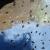 Escarabajos congelados en una trampa de caída, debido a un brusco descenso de las temperaturas /Verónica Rocío Espinoza