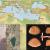 Detalles del fósil y mapa de dispersión / Markus Bastir