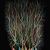 "Bosque neuronal" Premio Año Cajal