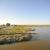 Imagen del Delta del Ebro. / Lucas Melcón, CSIC Comunicación
