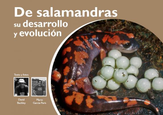 Portada del artículo 02 de NaturalMente 03 