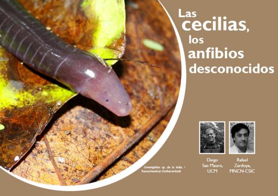 Portada del artículo 06 de NaturalMente 03