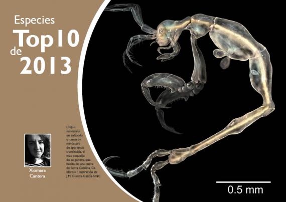 Portada del artículo 14 de NaturalMente 03