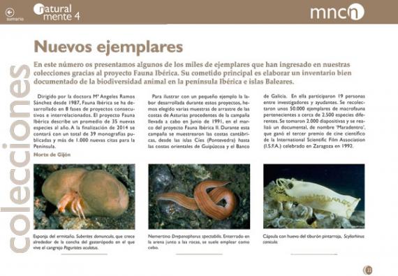 Portada de la sección "Nuevos ejemplares" de la revista NaturalMente 04