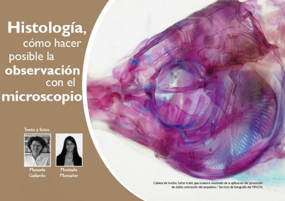 Portada del artículo "Histología, cómo hacer posible la observación con el microscopio" de la revista NaturalMente 04