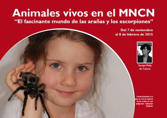 Portada del artículo "Animales vivos en el MNCN. "El fascinante mundo de las arañas y los escorpiones"" de la revista NaturalMente 04