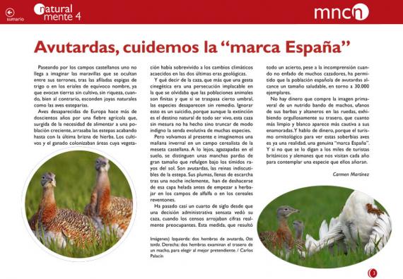 Portada de la introducción "Avutardas, cuidemos la “marca España”" de la revista NaturalMente 04