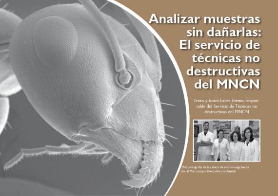 Portada del artículo Analizar muestras sin dañarlas: El servicio de técnicas no destructivas del MNCN de NaturalMente 06